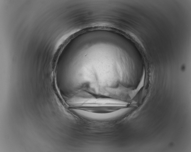 X0000116371117200912231310