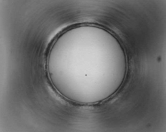 X0000116371118200912231310