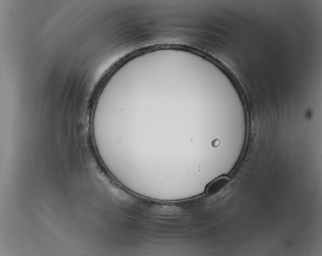 X0000116371119200912231310