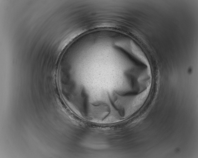 X0000116371121200912231310