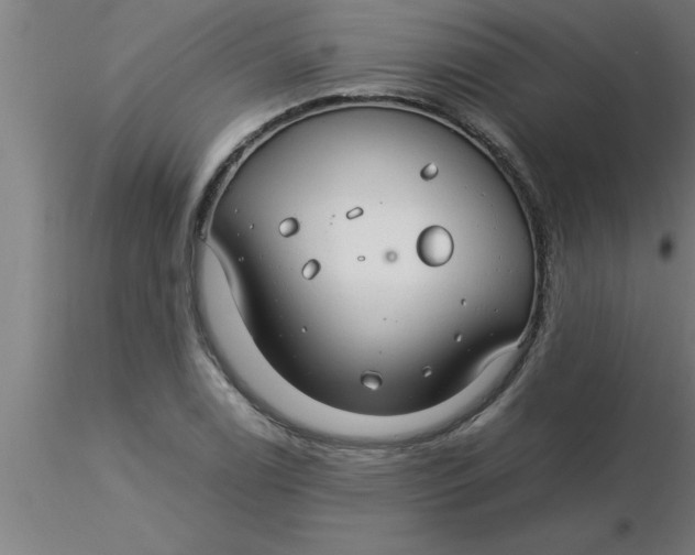 X0000116371122200912231310