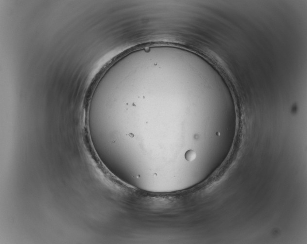 X0000116371125200912231310