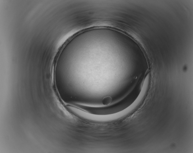 X0000116371127200912231310