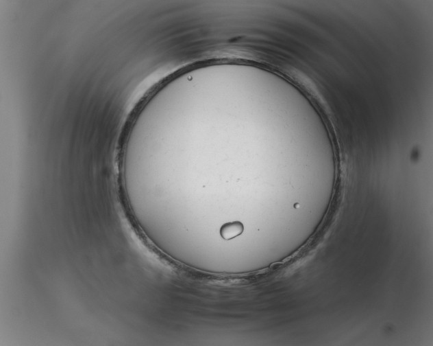 X0000116371133200912231310