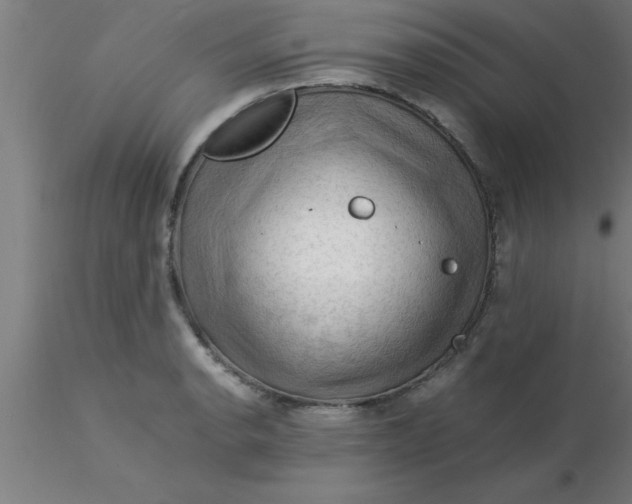 X0000116371134200912231310