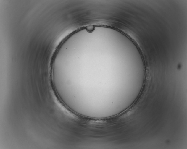 X0000116371135200912231310