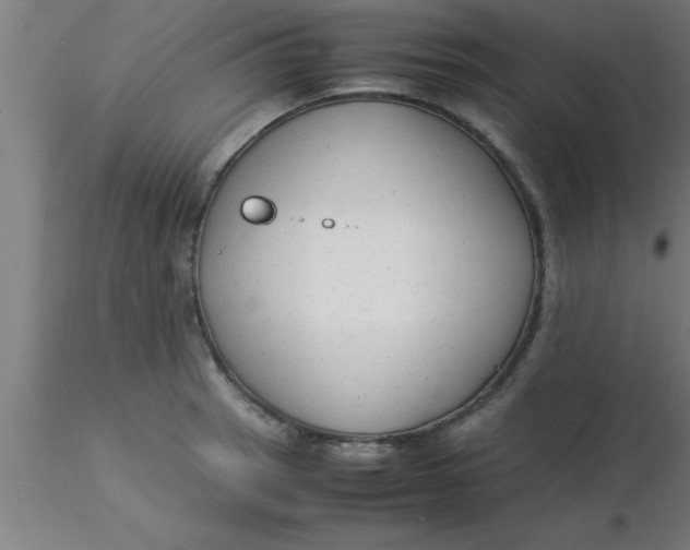 X0000116371137200912231310