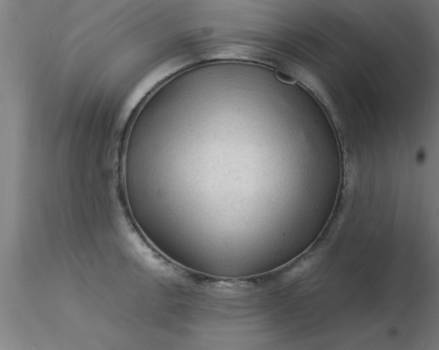 X0000116371138200912231310