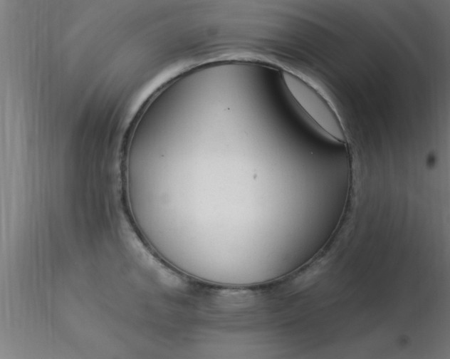 X0000116371142200912231310