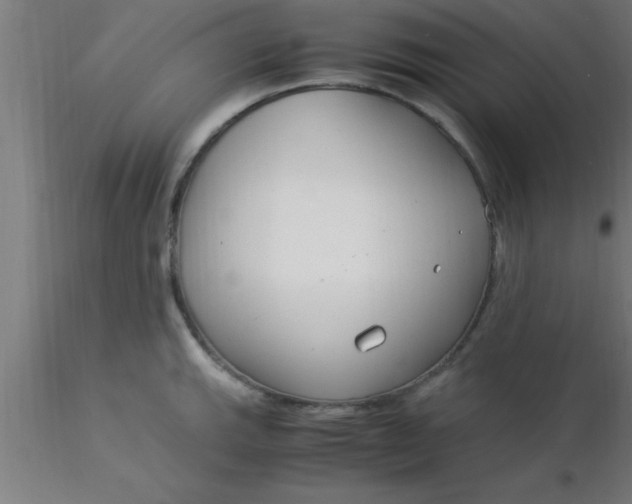 X0000116371143200912231310