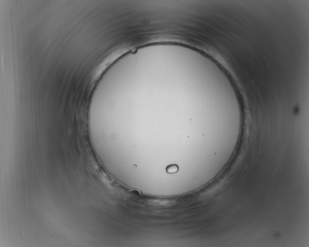 X0000116371145200912231310