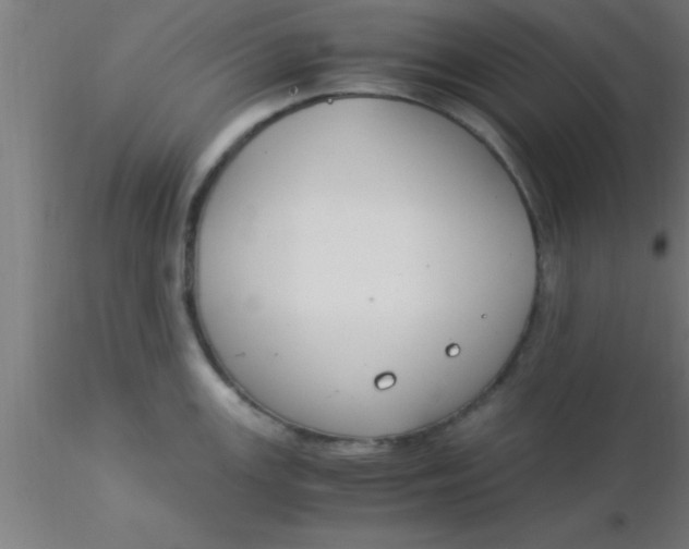 X0000116371147200912231310