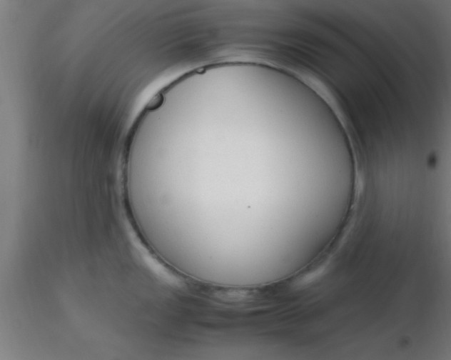 X0000116371149200912231310