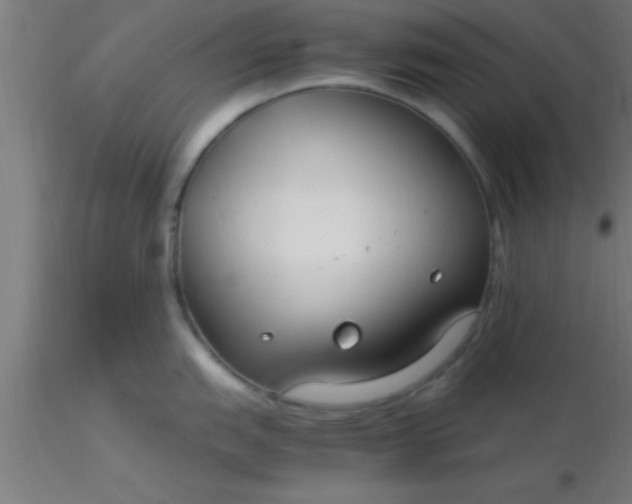 X0000116371151200912231310