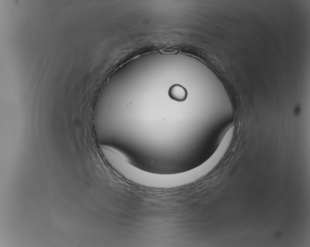 X0000116371153200912231310