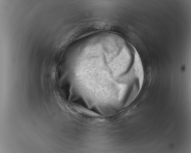 X0000116371154200912231310