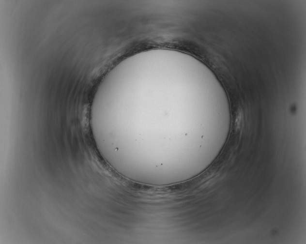 X0000116371156200912231310