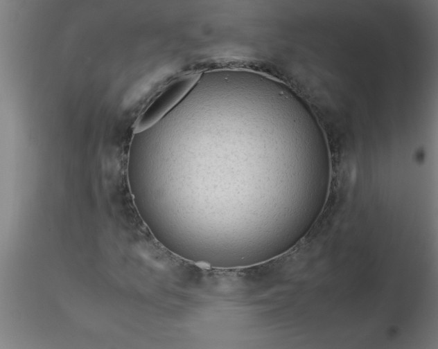 X0000116371157200912231310