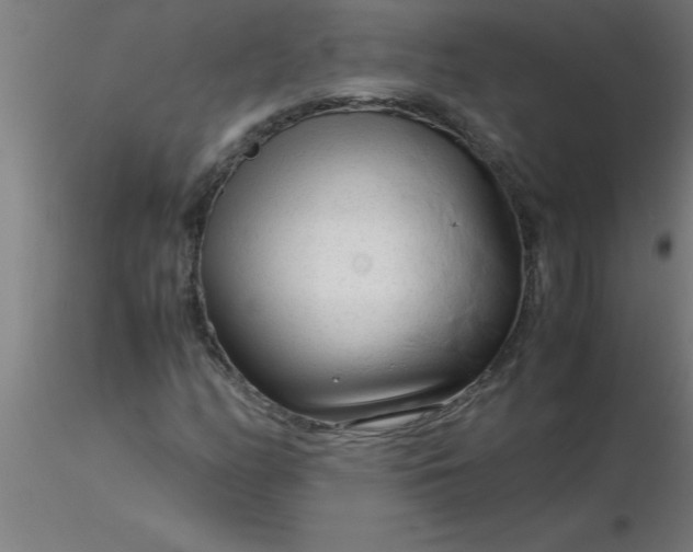 X0000116371158200912231310