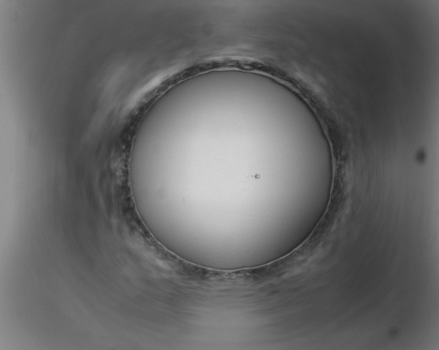 X0000116371159200912231310