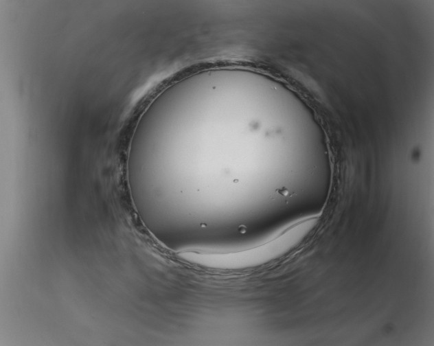 X0000116371160200912231310