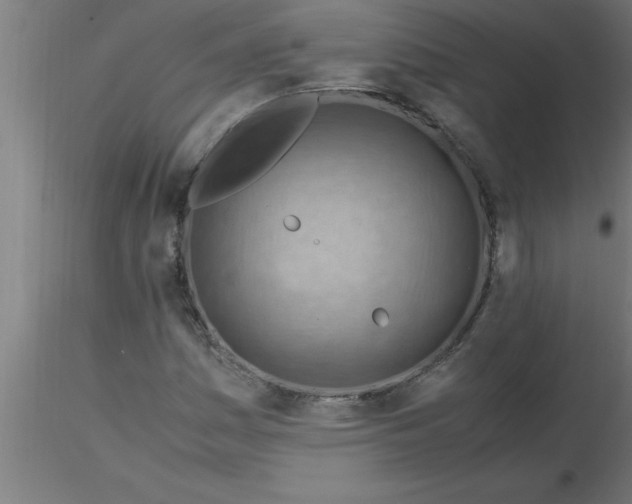 X0000116371161200912231310