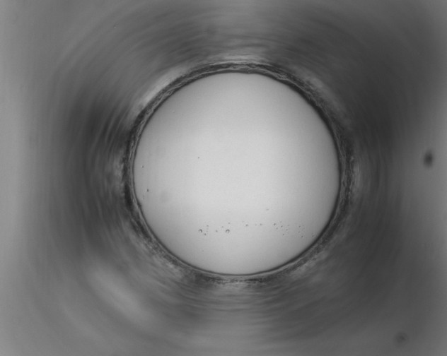 X0000116371162200912231310