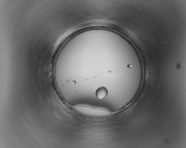 X0000116371164200912231310