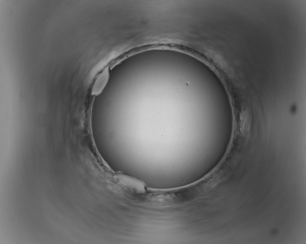 X0000116371165200912231310