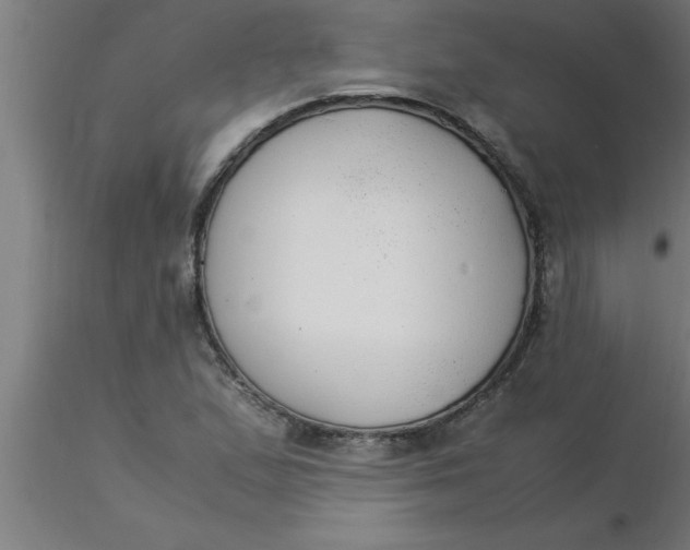 X0000116371167200912231310