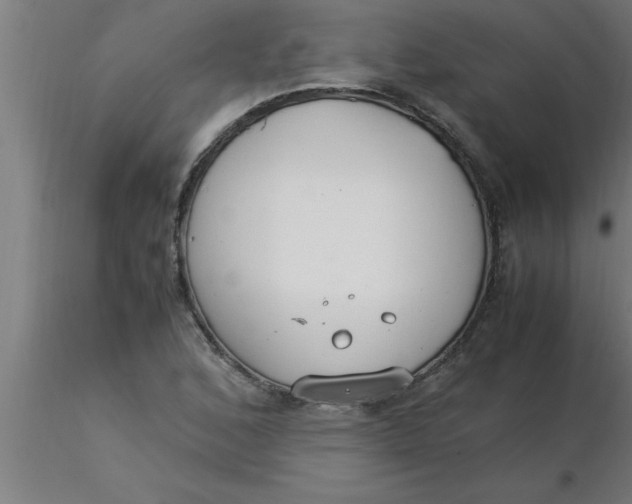 X0000116371168200912231309