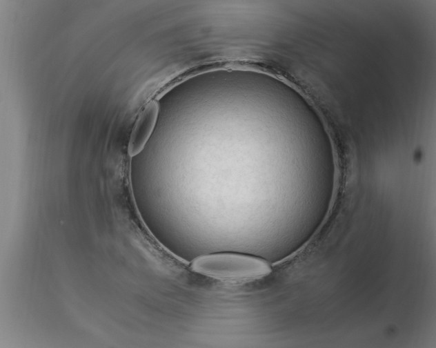 X0000116371169200912231309