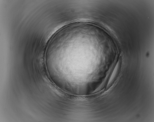 X0000116371170200912231309