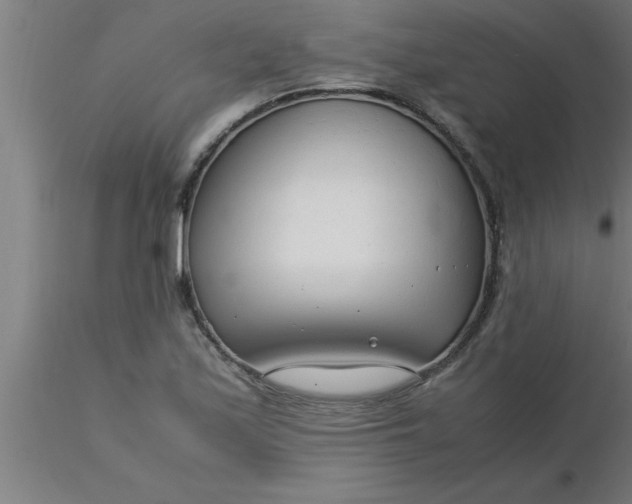 X0000116371171200912231309