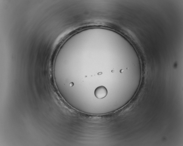 X0000116371172200912231309