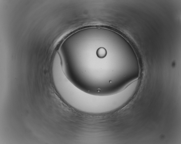 X0000116371173200912231309