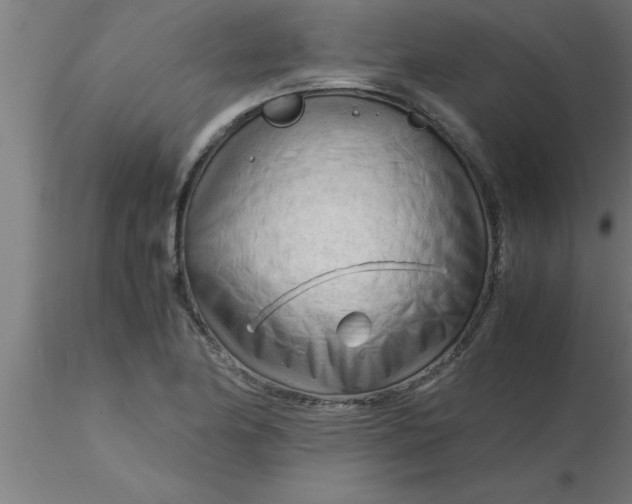 X0000116371174200912231309