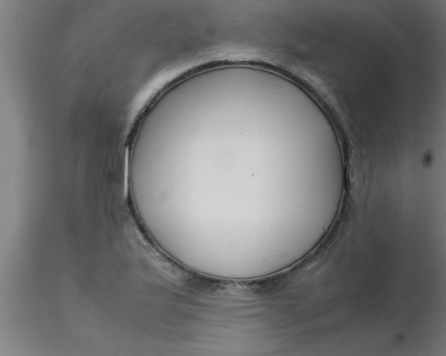 X0000116371175200912231309