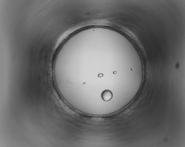 X0000116371176200912231309