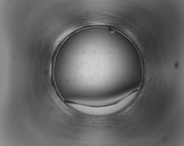 X0000116371179200912231309