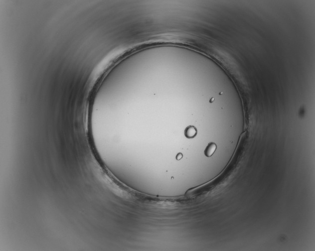 X0000116371180200912231309