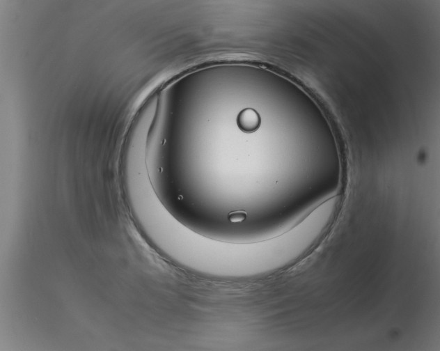 X0000116371181200912231309