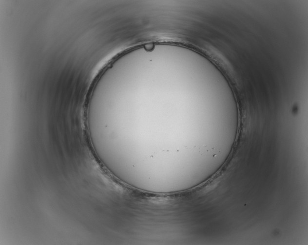 X0000116371182200912231309