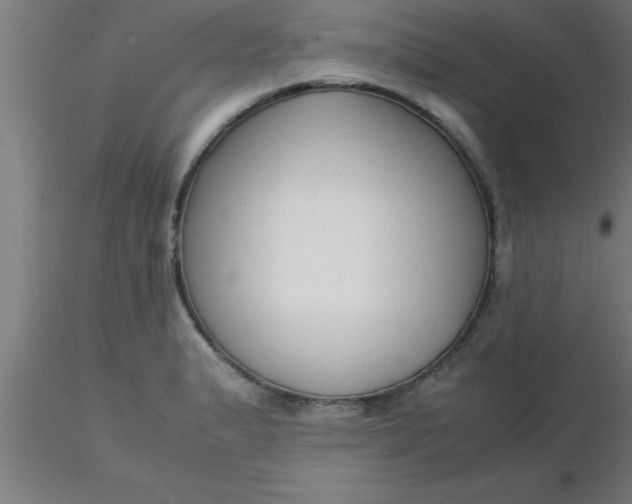 X0000116371183200912231309