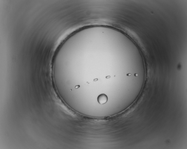 X0000116371184200912231309