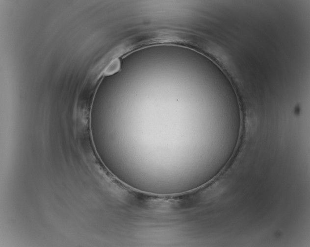 X0000116371185200912231309