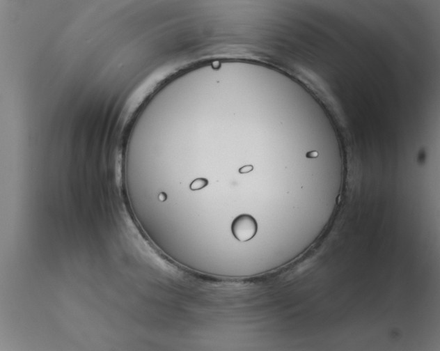 X0000116371188200912231309