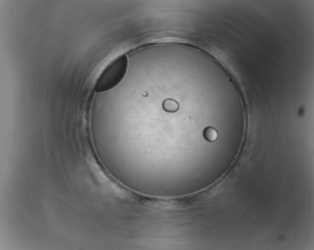 X0000116371189200912231309