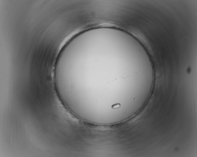 X0000116371190200912231309