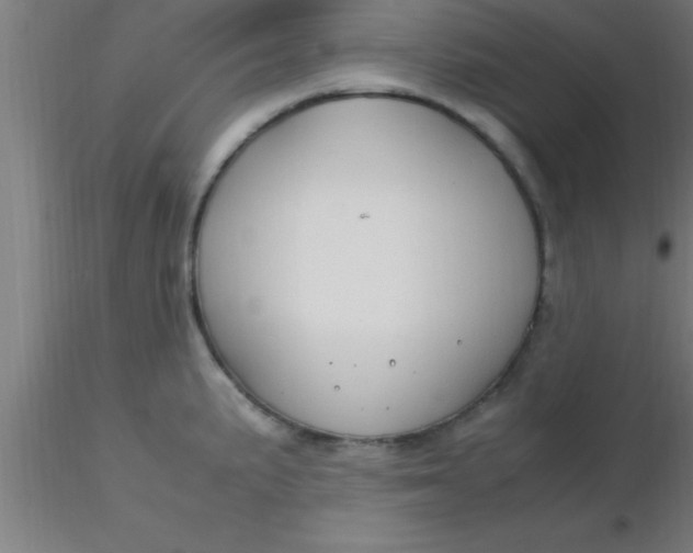 X0000116371191200912231309